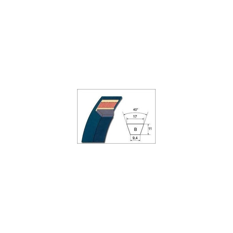 CINGHIA B 42 1/2"