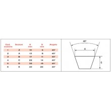 CINGHIA C 71 1/2"