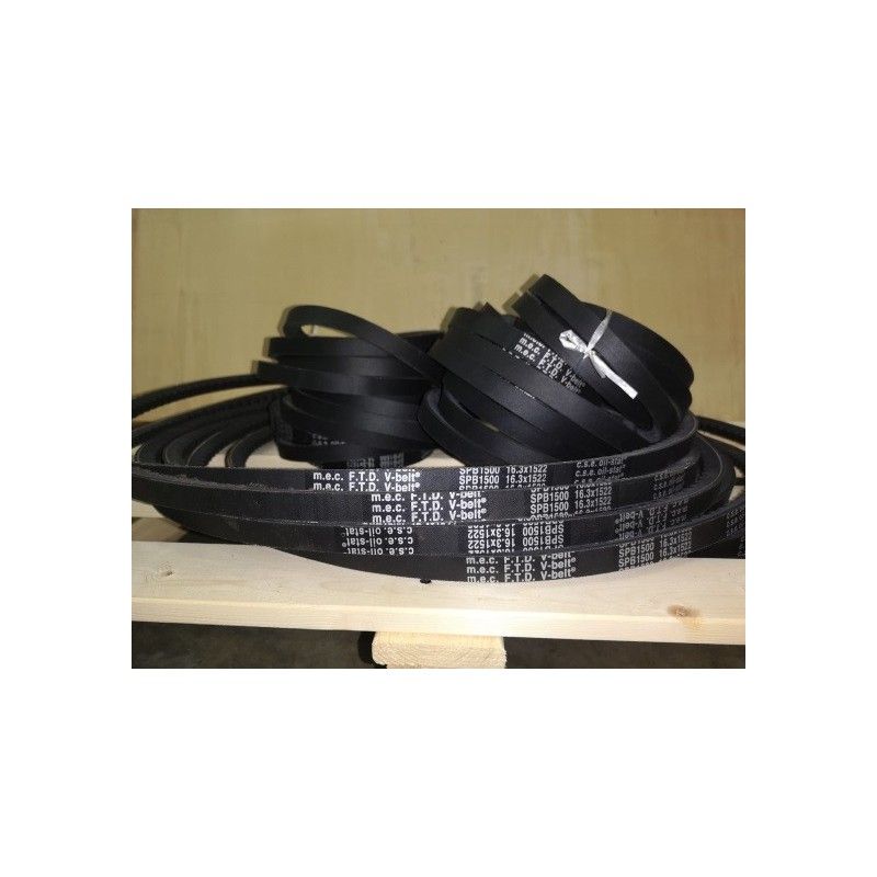 CINGHIA DENTELLATA SPB 2000