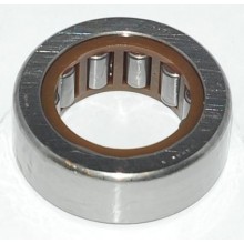 Cuscinetto VP 25-4 NSK (25x43,5x15) Weight 0,090 VP254!RNU050415AFG|C10417SKF|9036525017