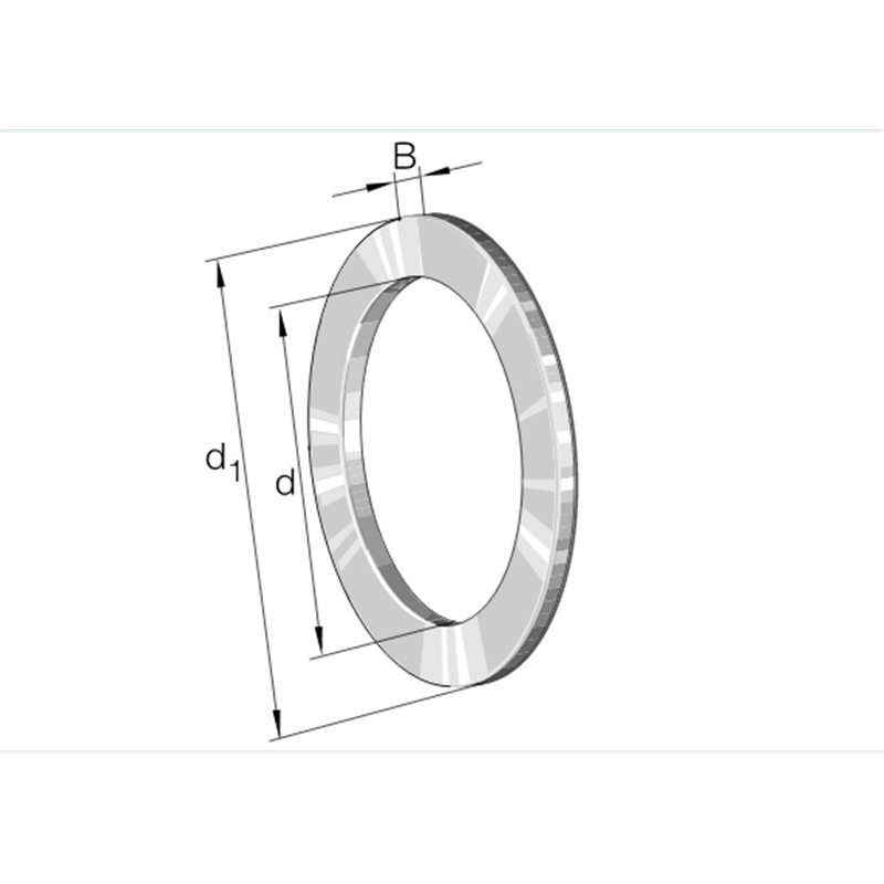 Ralla WS81132 INA 160x198x9,5  Weight 0,78