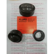 Cuscinetto GE 15 FO-2RS/GEG 15 ES-2RS Fluro 15x30x16