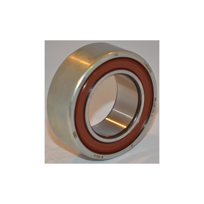 Cuscinetto F-805281 KL-H75 INA 35x62x22 Weight 0,220 F805281KL-H75,0B4409294,0B4409294D Cuscinetto F-805281 KL-H75 INA 35x62x22 Weight 0,220 F805281KL-H75,0B4409294,0B4409294D