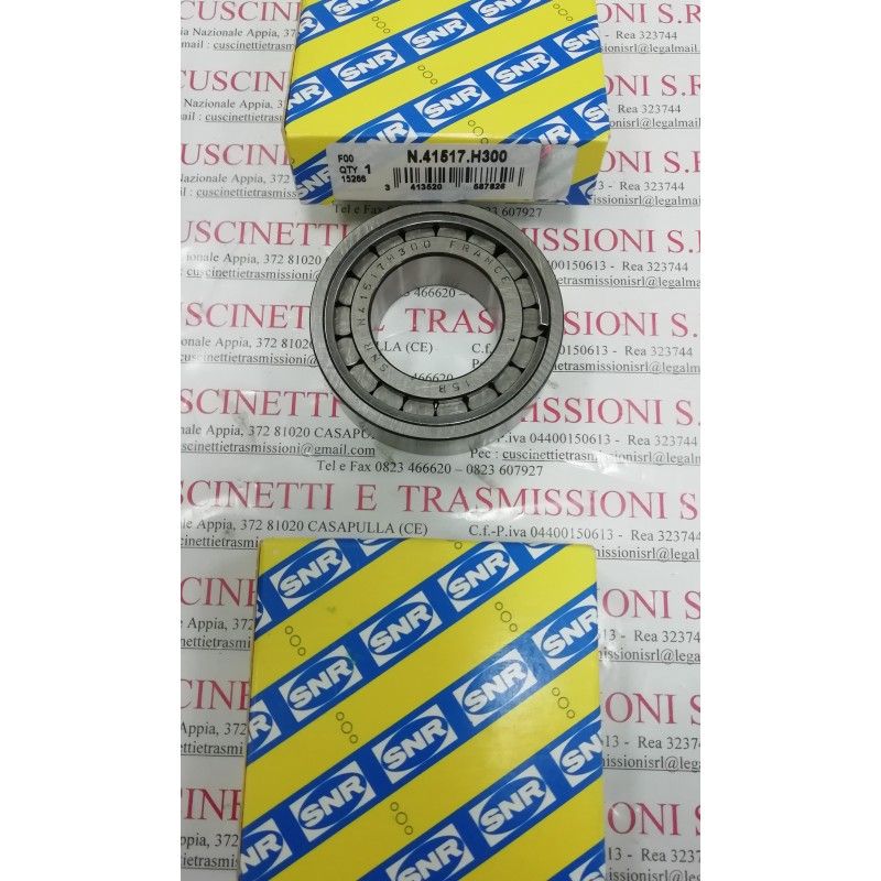 Cuscinetto N 41517 H300 SNR 30x58x17 Weight 0.212 N41517H300,55558534,231798,2317.98, Cuscinetto N 41517 H300 SNR 30x58x17 Weight 0.212 N41517H300,55558534,231798,2317.98,