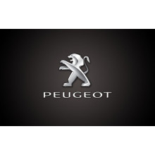 Cuscinetto 3125.18 PEUGEOT 38x63x17 69349/10,69349/69310,69349/310,3125.18