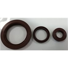 Anello di Tenuta (Paraolio) VITON  25X52X10 A