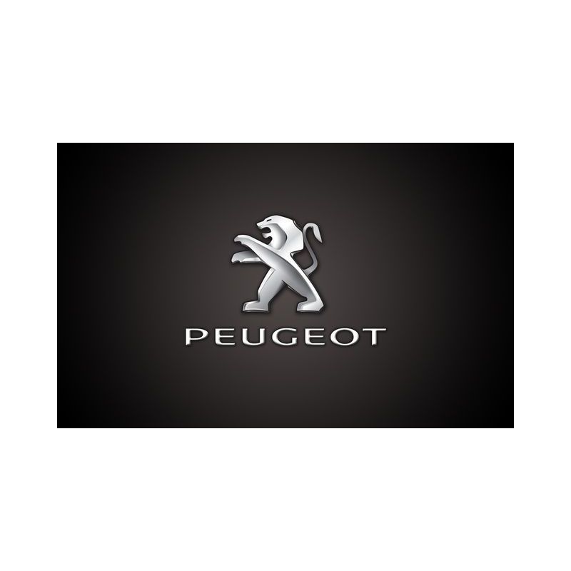 Cuscinetto 57.025 PEUGEOT 17x47x14 B17-102AT1XDDG3,57025 peugeot,90099-10142,