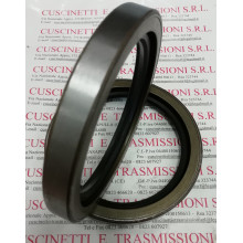 Anello di Tenuta (Paraolio) Acciaio-NBR 85x110x13 C