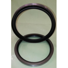 Anello di Tenuta (Paraolio) Acciaio-NBR  20x37x7 B