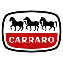 Anello di Tenuta (Paraolio) 025393  Ricambio Originale Carraro 52x72x8