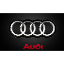 Cuscinetto 082409139A AUDI-WOLKSWAGHEN  22X28X10