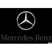 Cuscinetto 0049818425 Ricambio originale Mercedes 10,2x52x32