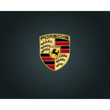 Anello di Tenuta 99911324640 originale PORSCHE