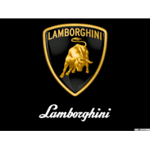 Anello di Tenuta 215291180 originale LAMBORGHINI-SAME 80X100X18