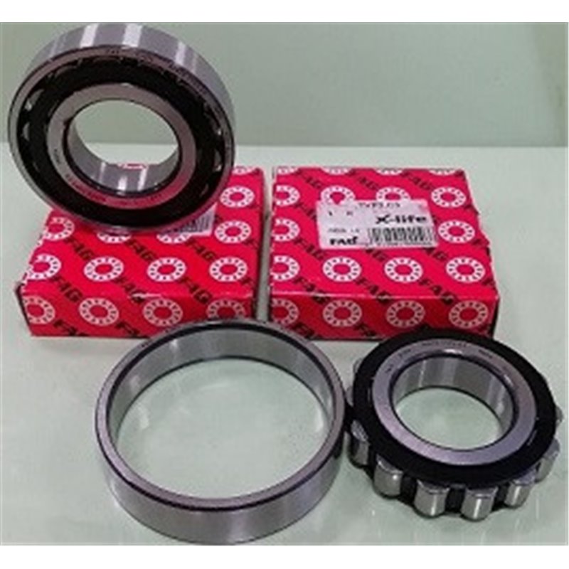 Cuscinetto N309-E-XL-TVP2 FAG 45x100x25  Weight 0,87