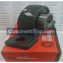 Supporto ghisa UCP319 CRAFT