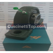 Supporto ghisa UCP319 FK