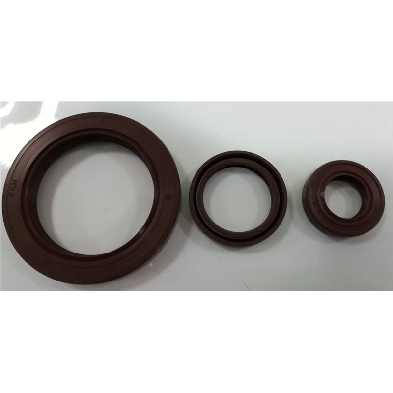 Anello di Tenuta (Paraolio) VITON  80X120X13 A