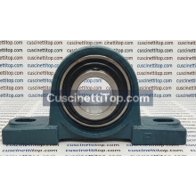 Supporto ghisa UCP315 IMPORT