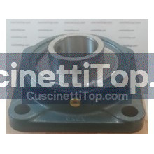 Supporto ghisa UCF309 IMPORT